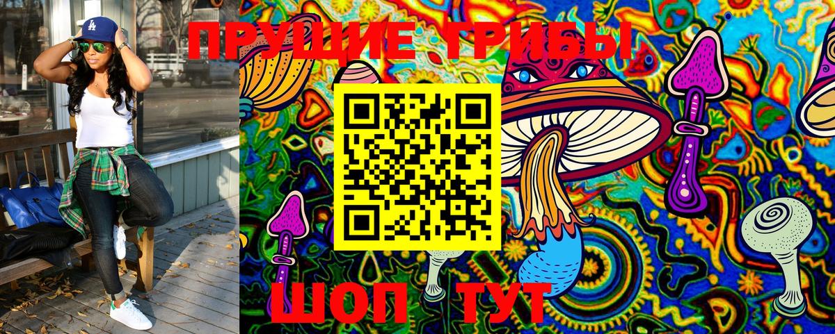 Псилоцибиновые грибы GOLDEN TEACHER Магнитогорск